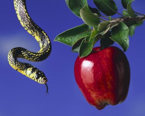 apple-and-snake_1280x1024_2988